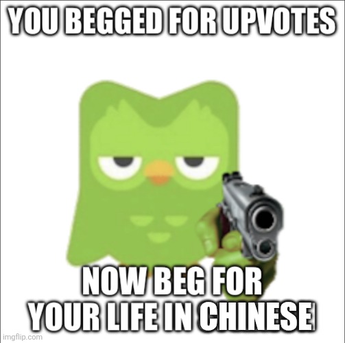 You begged for upvotes | chinese | image tagged in you begged for upvotes | made w/ Imgflip meme maker