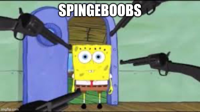 Wpog | Spingeboobs | image tagged in wpog | made w/ Imgflip meme maker