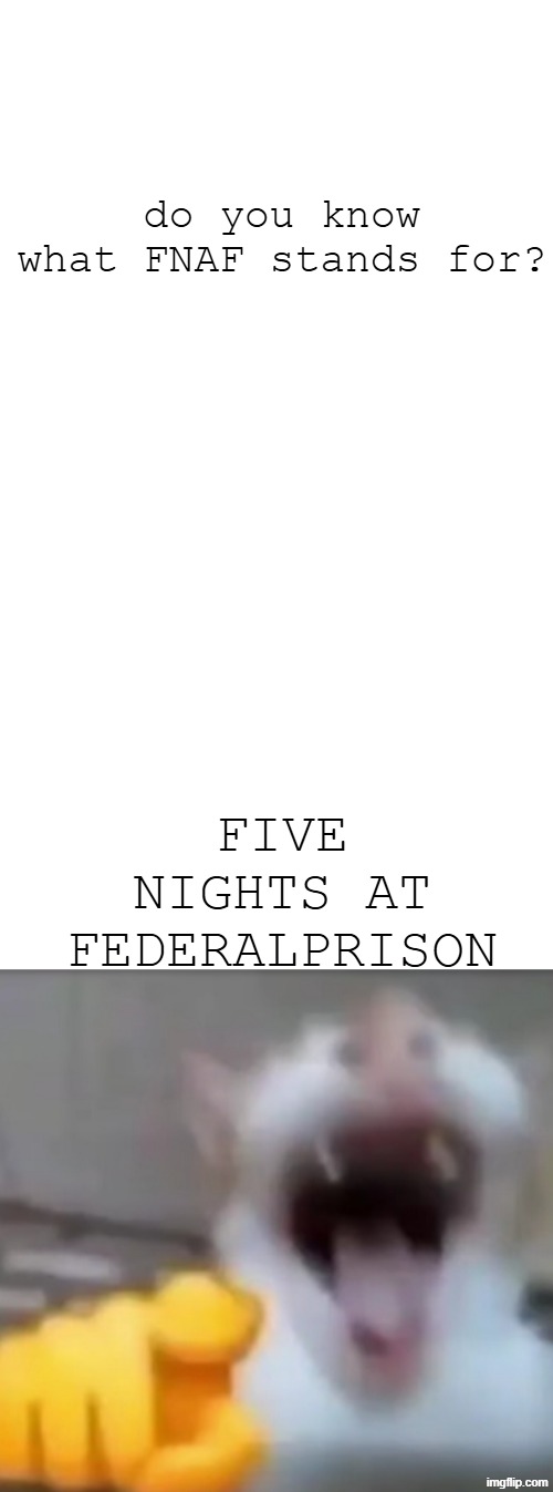 *visible cringe* | do you know what FNAF stands for? FIVE NIGHTS AT FEDERALPRISON | image tagged in memes,blank white template,cat pointing and laughing | made w/ Imgflip meme maker