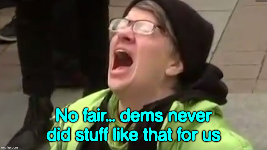 Screaming Liberal  | No fair... dems never did stuff like that for us | image tagged in screaming liberal | made w/ Imgflip meme maker