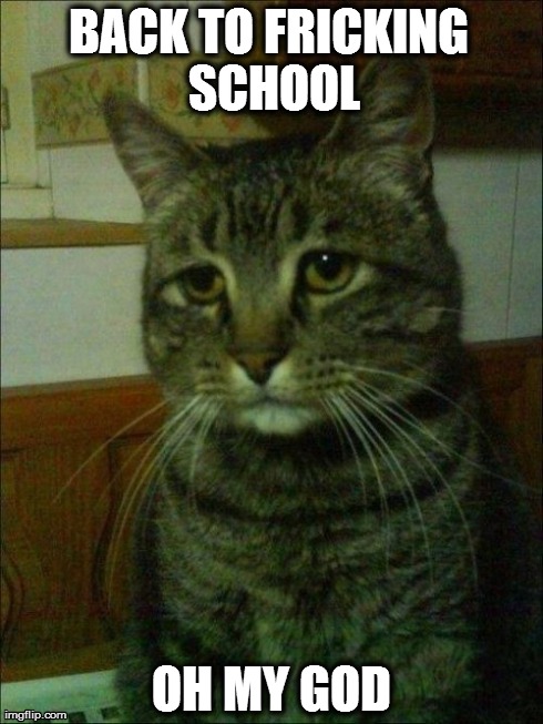Depressed Cat | BACK TO FRICKING SCHOOL OH MY GOD | image tagged in memes,depressed cat | made w/ Imgflip meme maker