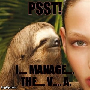 Whisper Sloth Meme | PSST! I.... MANAGE.... THE.... V.... A. | image tagged in memes,whisper sloth | made w/ Imgflip meme maker
