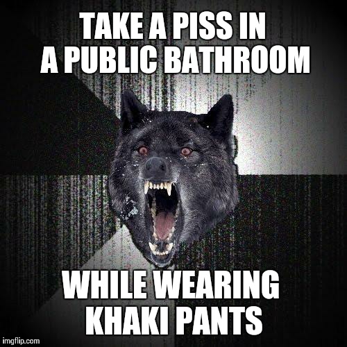 Insanity Wolf | TAKE A PISS IN A PUBLIC BATHROOM WHILE WEARING KHAKI PANTS | image tagged in memes,insanity wolf | made w/ Imgflip meme maker