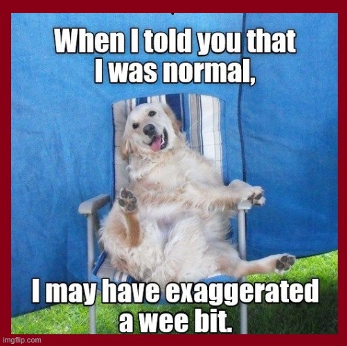 image tagged in normal 01 jpg | made w/ Imgflip meme maker