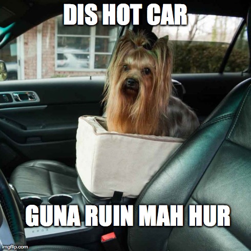 DIS HOT CAR GUNA RUIN MAH HUR | image tagged in funny | made w/ Imgflip meme maker