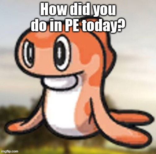 tatsugiri hmm | How did you do in PE today? | image tagged in tatsugiri hmm | made w/ Imgflip meme maker