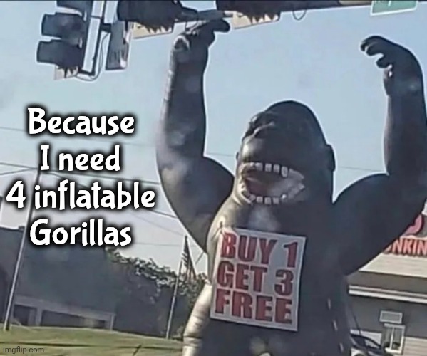 Because I need 4 inflatable Gorillas | made w/ Imgflip meme maker