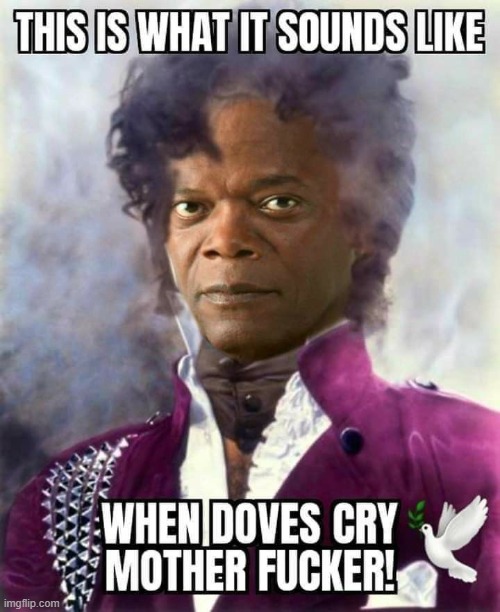 It's Prince Mutha | image tagged in music | made w/ Imgflip meme maker
