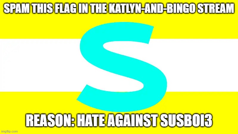 The flag is not racist | SPAM THIS FLAG IN THE KATLYN-AND-BINGO STREAM; REASON: HATE AGAINST SUSBOI3 | image tagged in susboi3 flag | made w/ Imgflip meme maker