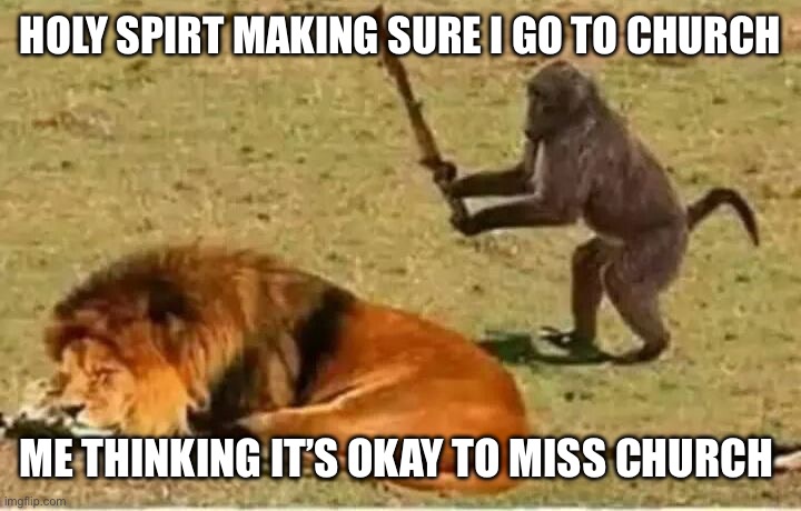 Monkey lion | Holy spirt making sure I go to church; Me thinking it’s okay to miss church | image tagged in monkey lion | made w/ Imgflip meme maker