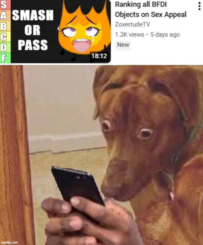 youtube randomly recommended me this i didn't click on anything bfdi related | image tagged in shocked dog,bfdi | made w/ Imgflip meme maker