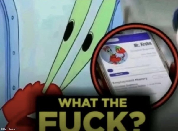 What the fuck? | image tagged in what the fuck | made w/ Imgflip meme maker