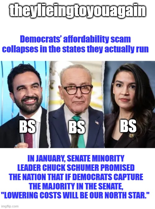 theynevertellthetruth | theylieingtoyouagain; Democrats’ affordability scam collapses in the states they actually run; BS; BS; BS; In January, Senate Minority Leader Chuck Schumer promised the nation that if Democrats capture the majority in the Senate, "lowering costs will be our North Star." | made w/ Imgflip meme maker
