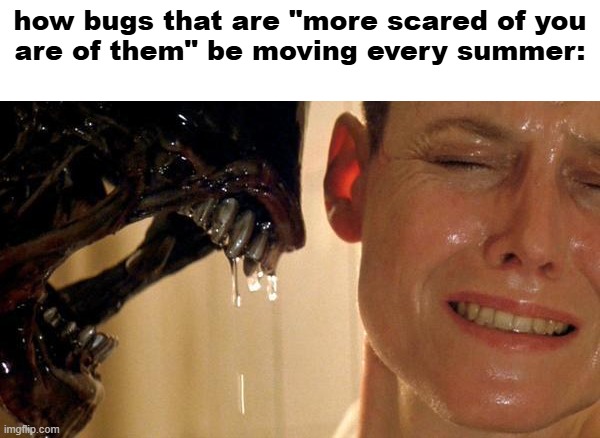title#12 | how bugs that are "more scared of you
are of them" be moving every summer: | image tagged in alien,bugs,memes | made w/ Imgflip meme maker