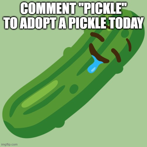 Pickle | Comment "pickle" to adopt a Pickle today | image tagged in zesty pickle | made w/ Imgflip meme maker
