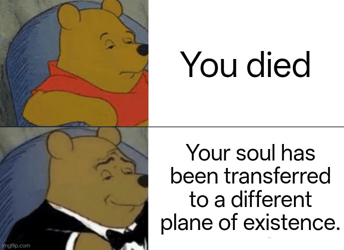 Tuxedo Winnie The Pooh Meme | You died; Your soul has been transferred to a different plane of existence. | image tagged in memes,tuxedo winnie the pooh | made w/ Imgflip meme maker