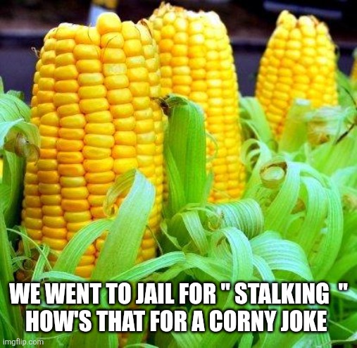 CORN meme | We went to jail for " stalking  "
How's that for a corny joke | image tagged in corn meme | made w/ Imgflip meme maker