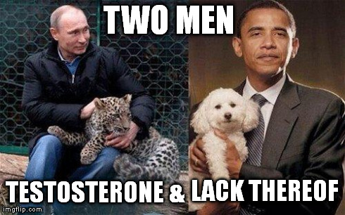 TWO MEN TESTOSTERONE & LACK THEREOF | image tagged in lacking | made w/ Imgflip meme maker