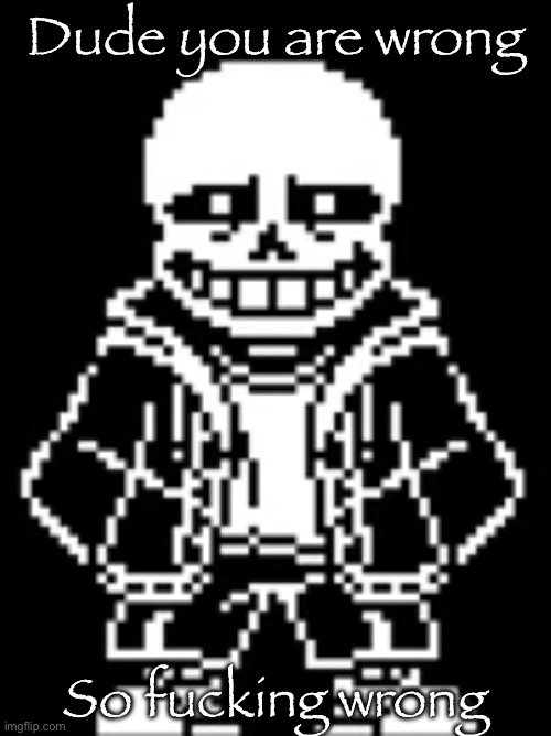 Sans Judges you | Dude you are wrong So fucking wrong | image tagged in sans judges you | made w/ Imgflip meme maker