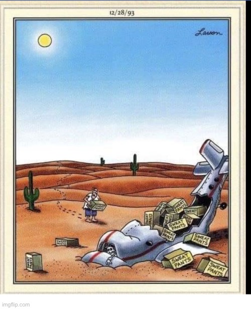 Those sweatpants were all the wrong size | image tagged in the far side,comics,desert,plane crash,sweat pants,disappointment | made w/ Imgflip meme maker