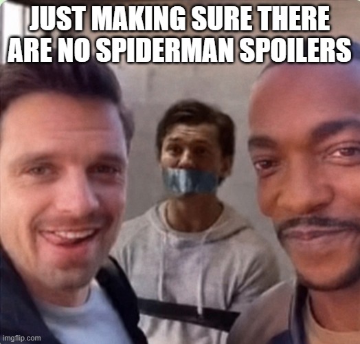 No Spoilers | Just making sure there are no spiderman spoilers | image tagged in spiderman | made w/ Imgflip meme maker