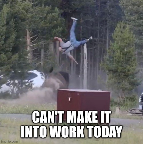 Bison Guy | Can't make it into work today | image tagged in bison guy | made w/ Imgflip meme maker