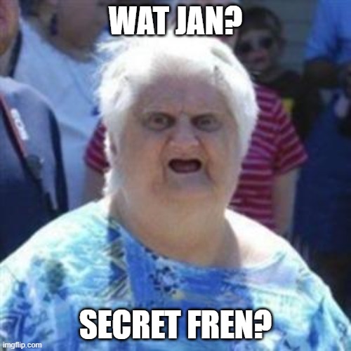 WAT Lady | WAT jan? secret fren? | image tagged in wat lady | made w/ Imgflip meme maker