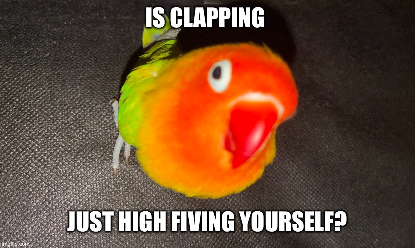 Curious bird | Is clapping; Just high fiving yourself? | image tagged in curious bird | made w/ Imgflip meme maker