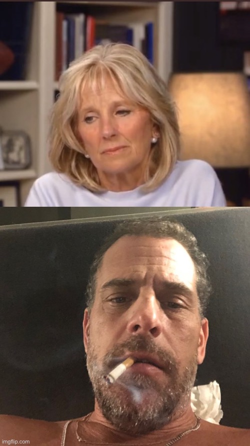 image tagged in jill biden meme,hunter biden | made w/ Imgflip meme maker