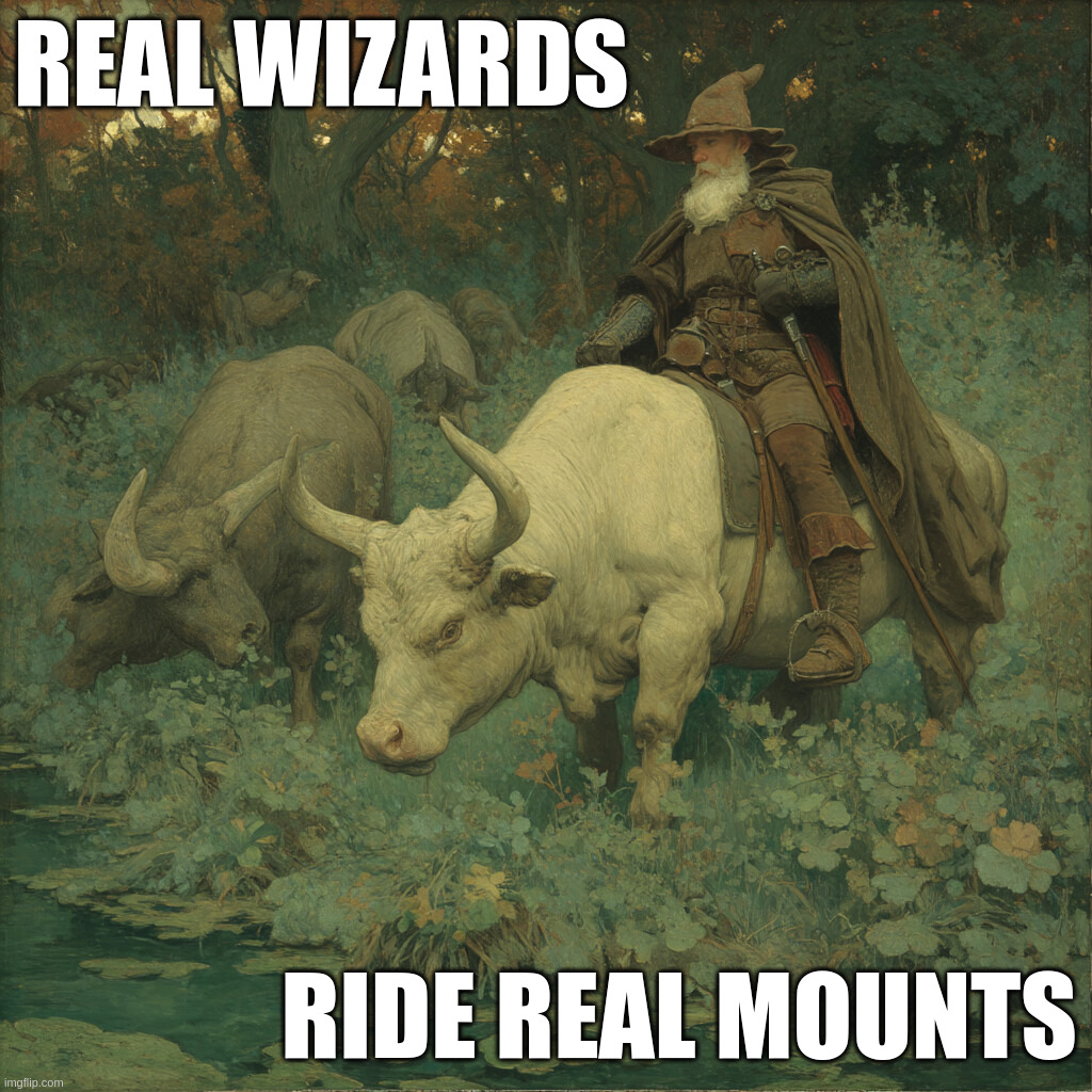 Real wizards; ride real mounts | made w/ Imgflip meme maker