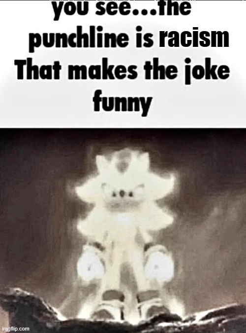 Shadow explains the joke | racism | image tagged in shadow explains the joke | made w/ Imgflip meme maker