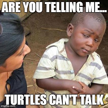 Third World Skeptical Kid Meme | ARE YOU TELLING ME... TURTLES CAN'T TALK | image tagged in memes,third world skeptical kid | made w/ Imgflip meme maker