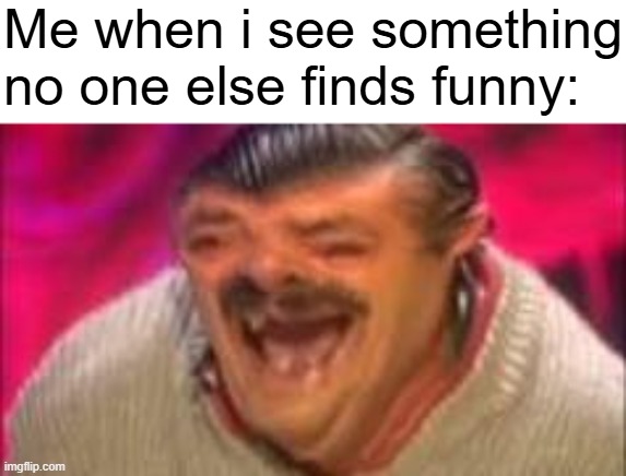 Laughing mexican | Me when i see something no one else finds funny: | image tagged in laughing mexican | made w/ Imgflip meme maker