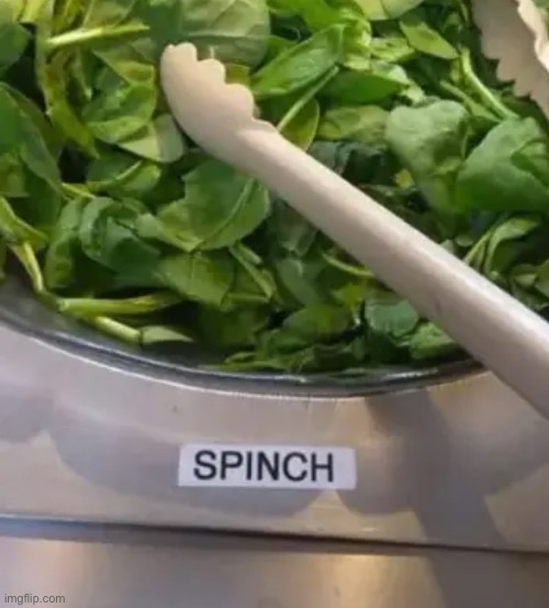 Sponch | image tagged in you had one job,spinach,spinch | made w/ Imgflip meme maker