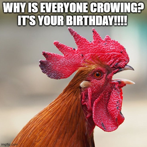 Rooster crowing happy birthday | Why is everyone crowing?

It's your birthday!!!! | image tagged in rooster head | made w/ Imgflip meme maker