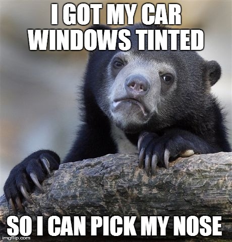 Confession Bear | I GOT MY CAR WINDOWS TINTED  SO I CAN PICK MY NOSE | image tagged in memes,confession bear,AdviceAnimals | made w/ Imgflip meme maker