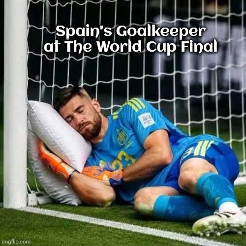 It was a slaughter | Spain's Goalkeeper at The World Cup Final | image tagged in defense,soccer,futbol,easy as pie,relaxing afternoon | made w/ Imgflip meme maker