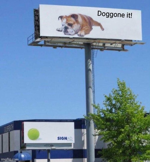 Ball | Doggone it! | image tagged in dog,billboard,ball,good boy | made w/ Imgflip meme maker