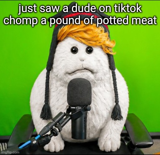 gooby | just saw a dude on tiktok chomp a pound of potted meat | image tagged in gooby | made w/ Imgflip meme maker