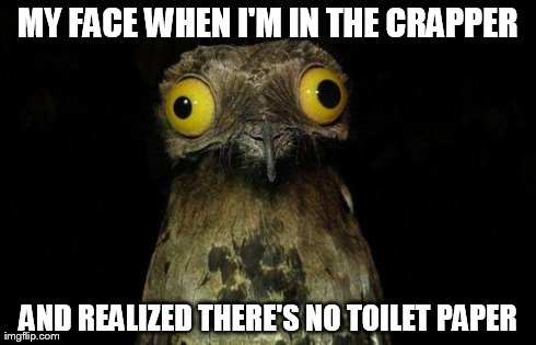 Weird Stuff I Do Potoo | MY FACE WHEN I'M IN THE CRAPPER AND REALIZED THERE'S NO TOILET PAPER | image tagged in memes,weird stuff i do potoo | made w/ Imgflip meme maker