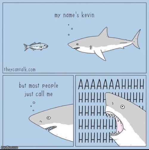 Hmm, I wonder why… | image tagged in comics,shark,kevin,aaaahhhhhhhhhhhhhhhhhhhhhhhhhhhhhhhhhhhhhhh | made w/ Imgflip meme maker