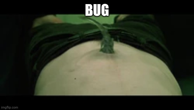 Bug | made w/ Imgflip meme maker