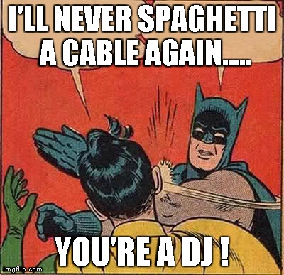 Batman Slapping Robin Meme | I'LL NEVER SPAGHETTI A CABLE AGAIN..... YOU'RE A DJ ! | image tagged in memes,batman slapping robin | made w/ Imgflip meme maker