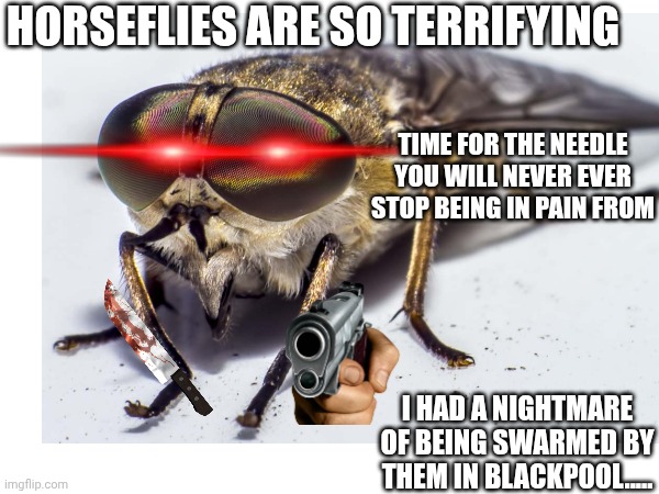 I hate Horseflies......... | Horseflies are so terrifying; Time for THE NEEDLE YOU WILL NEVER EVER STOP BEING IN PAIN FROM; I had a nightmare of being swarmed by them in Blackpool..... | image tagged in flies | made w/ Imgflip meme maker