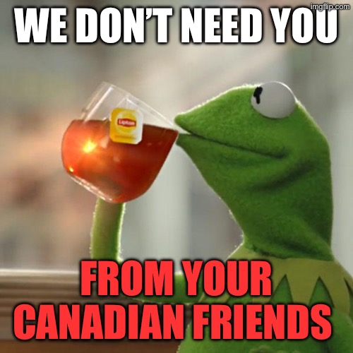 But That's None Of My Business Meme | We don’t need you; From your Canadian friends | image tagged in memes,but that's none of my business,kermit the frog | made w/ Imgflip meme maker