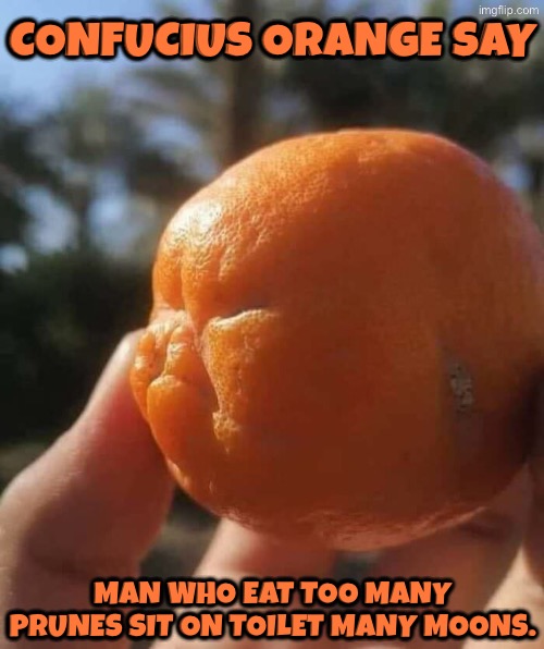 Confucius Orange Say | Confucius orange say; Man who eat too many prunes sit on toilet many moons. | image tagged in confucius say,orange,funny face,toilets,rhymes,diarrhea | made w/ Imgflip meme maker