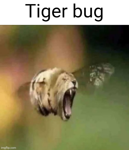 images (50).jpeg | Tiger bug | image tagged in tiger bug,shitpost,stupid | made w/ Imgflip meme maker