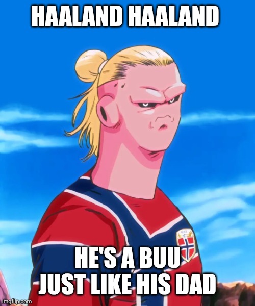 Majin Haaland | Haaland Haaland; He's a Buu just like his dad | image tagged in majin haaland,erling haaland,norway,haaland,memes,fifa world cup 2026 | made w/ Imgflip meme maker