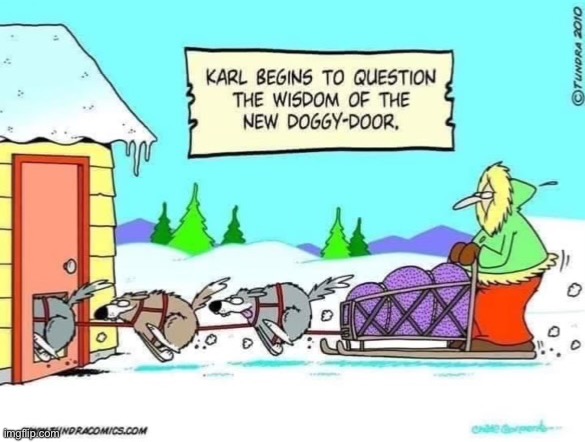 EJECT!!! EJECT!!! | image tagged in comics,doggy door,sled | made w/ Imgflip meme maker