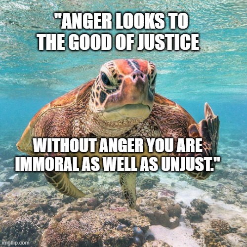 Pissed Off Turtle | "Anger looks to the good of justice; Without anger you are immoral as well as unjust." | image tagged in pissed off turtle | made w/ Imgflip meme maker